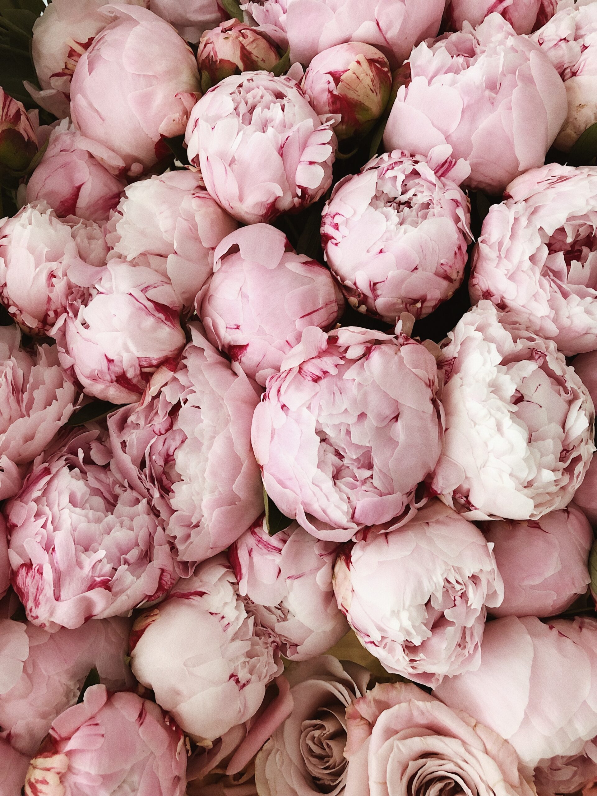 Des soins du visage inspirés par la nature et les fleurs Soins du visage naturels à base de fleurs – harmonie, douceur et cosmétique végétale